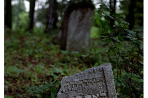 Family in the Forest