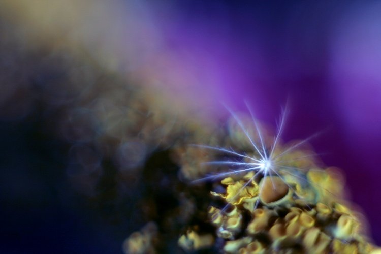 parasolka od kolorowych drinków;)