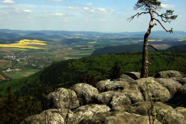 Gdzie jest tajemniczy ninia..