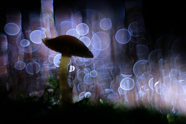 świat w którym bańki mydlane  nie pękają