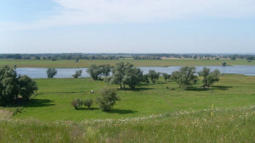 Piękny widok