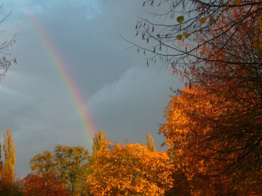 Tęcza :)