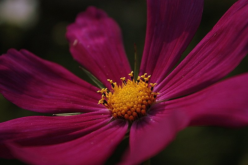 .....................