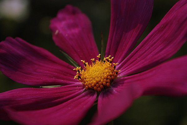 .....................