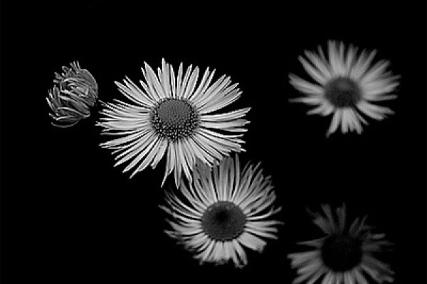 .....................................