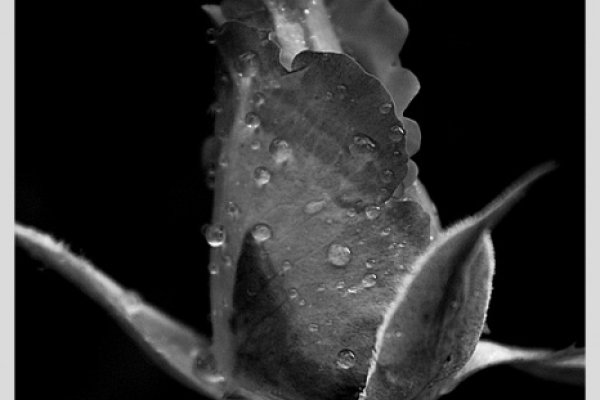 .......................