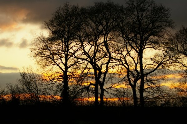 Natura prześwietlona 2