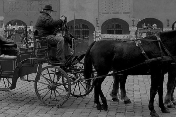 Pozen Stary 28.12.2008