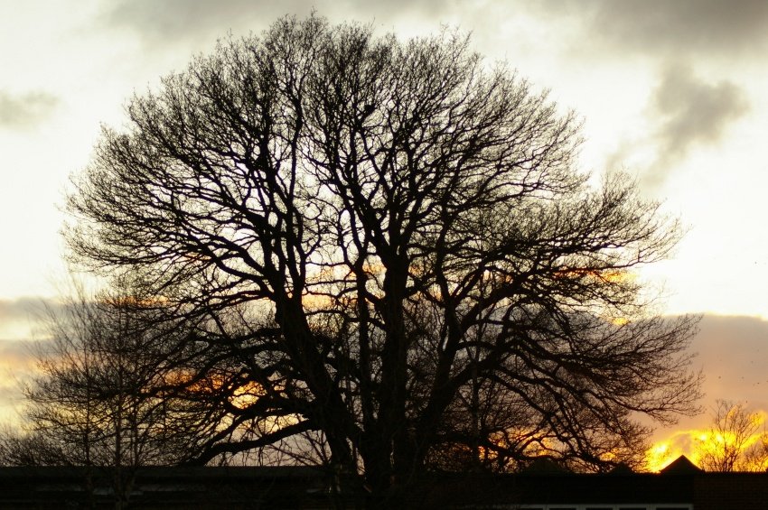 Natura prześwietlona 3