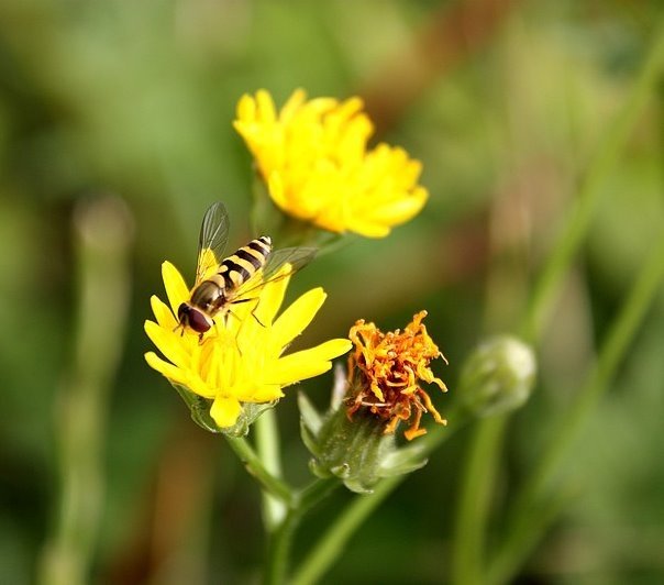 Ona mi lata koło nosa:P