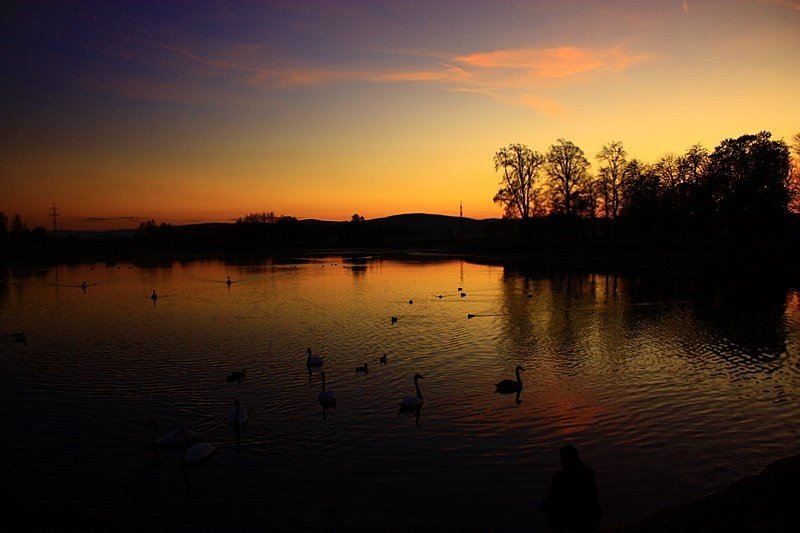 Mojej Wyobrazni tkwisz."