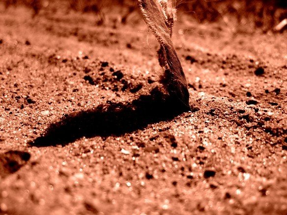 Życie pełen okrutności