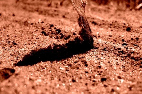 Życie pełen okrutności