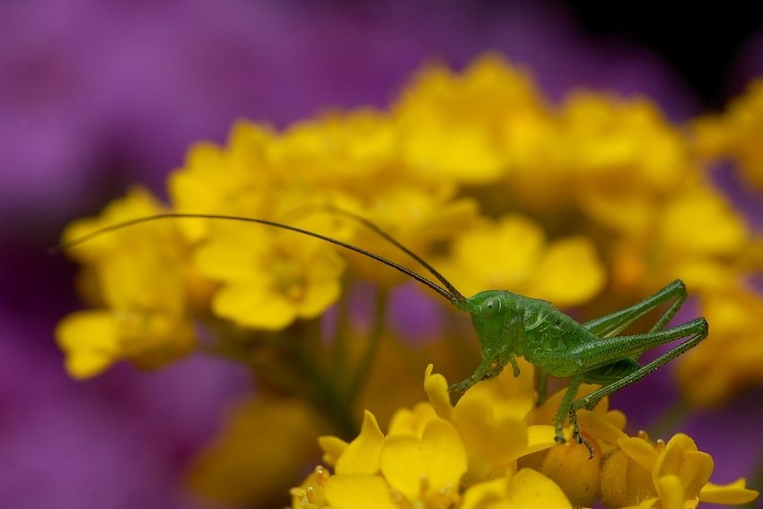 Ten co duży będzie latem