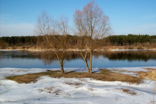Zima niedługo ustąpi