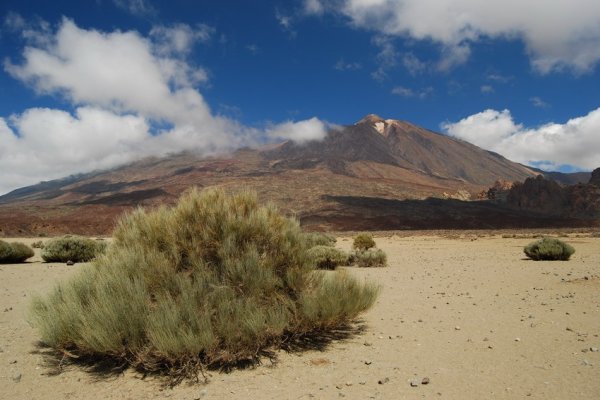 del Teide