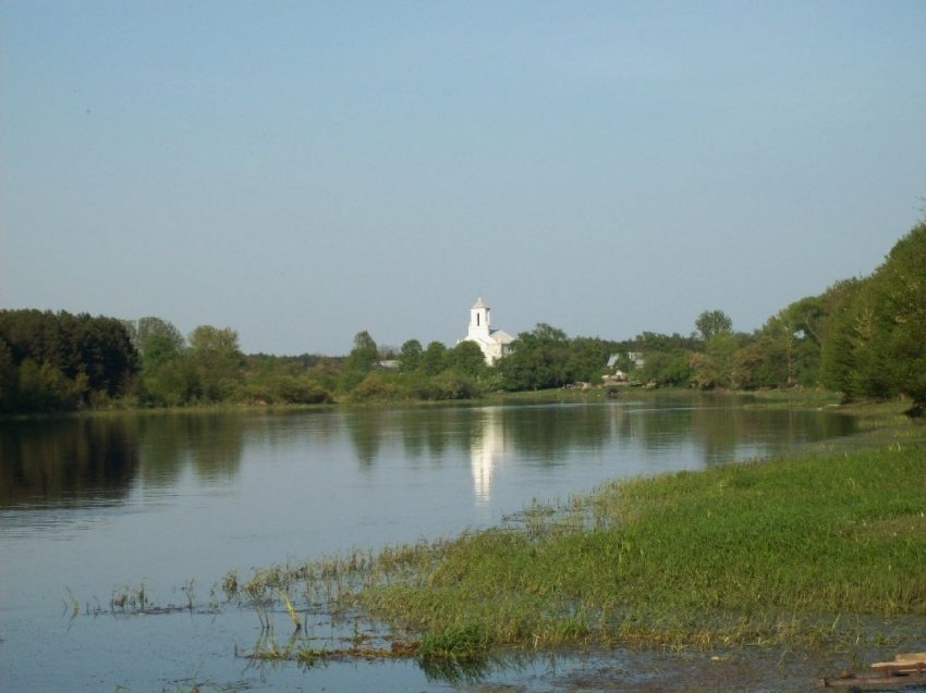 Piękne widoki znad rzeki