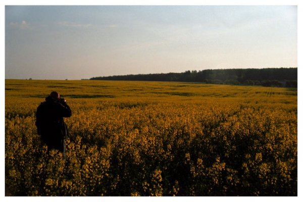 The Daylight Hunting