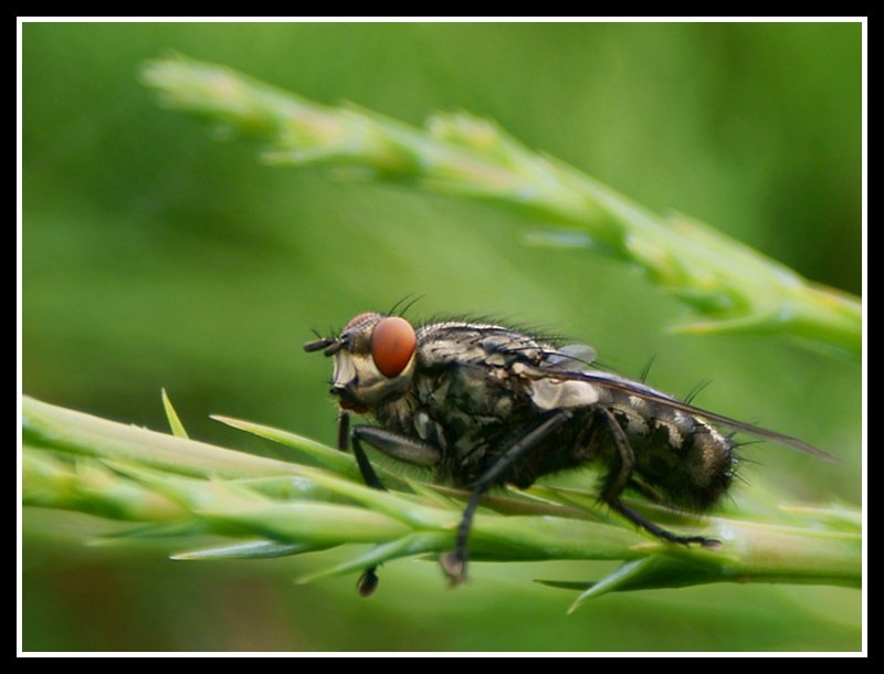 Byle by nie spaść...