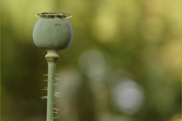 Powinni tego zabronic :)