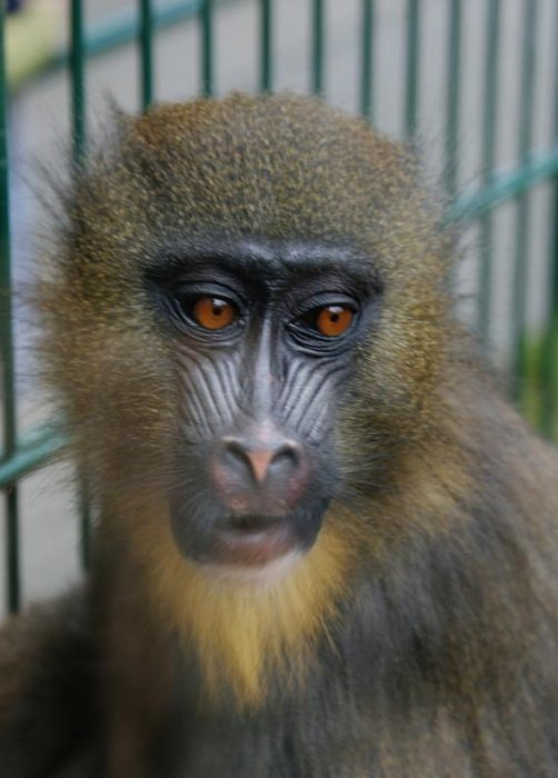 ....weż mnie ze sobą,proszę