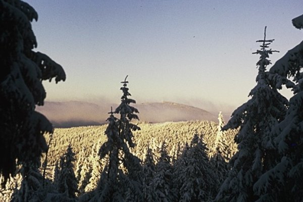 Mrozy były ostre!!!