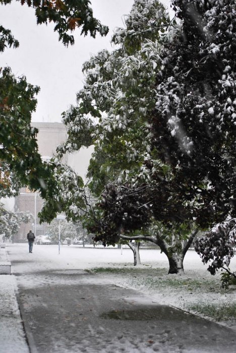 Jesienno-zimowa aura