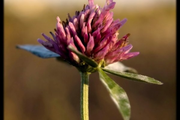 ostatnie podrygi lata...