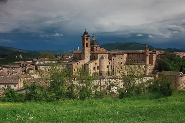 w Urbino