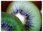 kiwi.