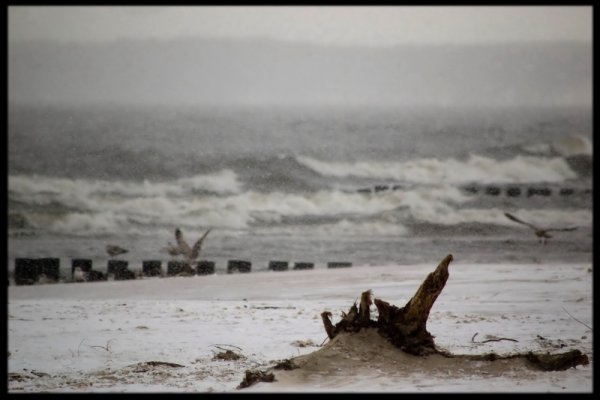 morskie opowieści...