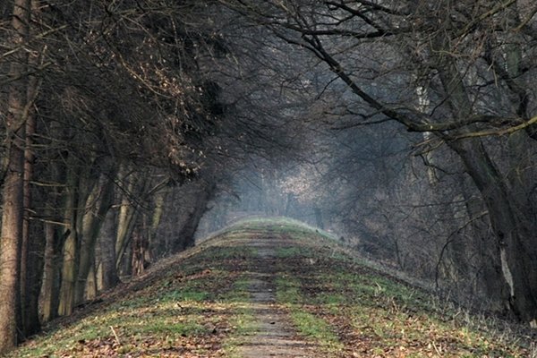 spacerek nad wisłą