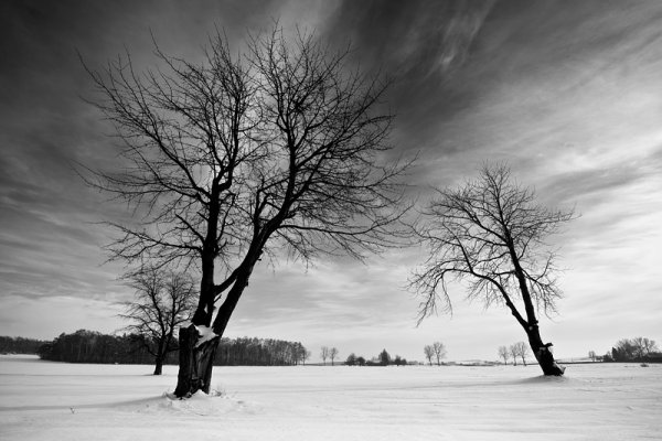 Trzej muszkieterowie