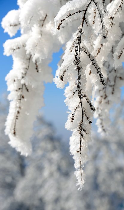 W zimowej odsłonie #1