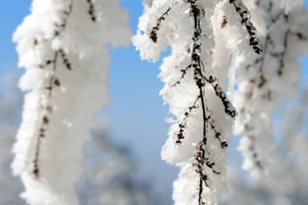 W zimowej odsłonie #1