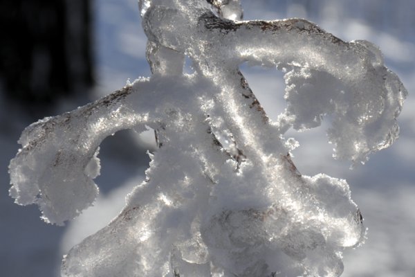 W zimowej odsłonie #2