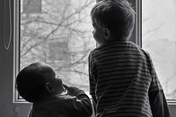 Nauki starszego brata