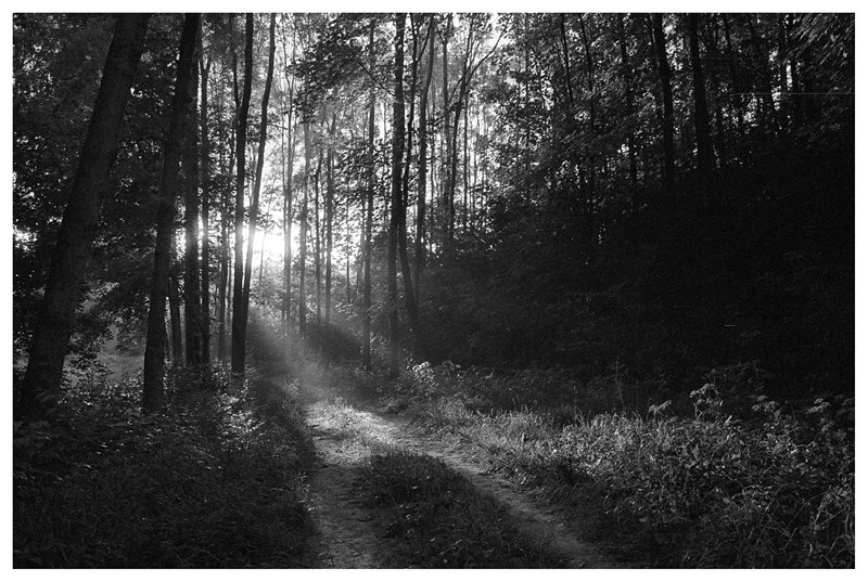 There's still a Hope.