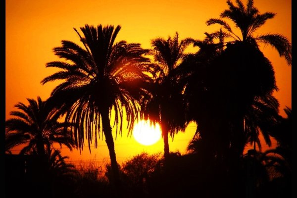 Podróż Boga Słońca