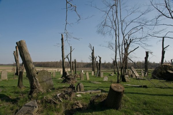 Cmentarz żydowski 2