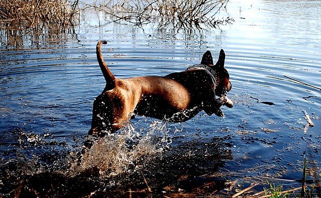 Na głęboką wodę.