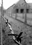 Auschwitz-Birkenau