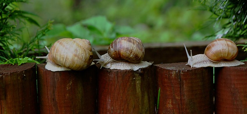 obszar zabudowany lub jednokierunkowa z ograniczeniem szybkości