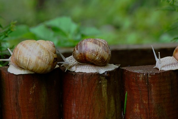 obszar zabudowany lub jednokierunkowa z ograniczeniem szybkości