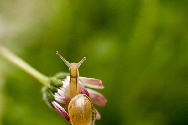 a co! też sobie makro porobie :)