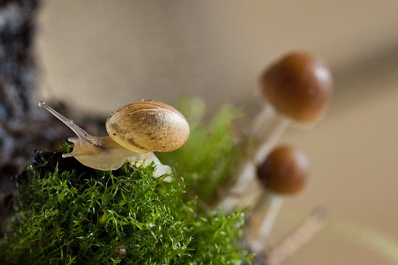 ostatnia na dziś :) Ale jeszcze mi 2 zostały :)