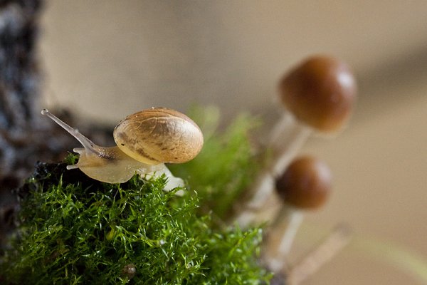 ostatnia na dziś :) Ale jeszcze mi 2 zostały :)