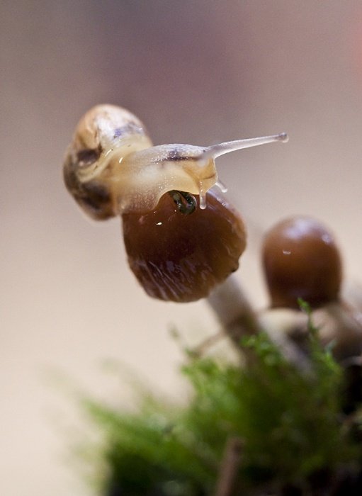 mojej obślizgłej sesji ciąg dalszy :)