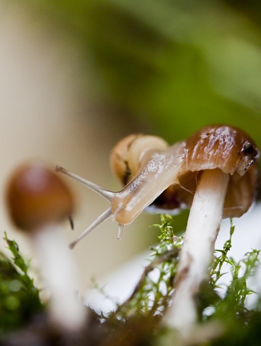 i ostatnie co by admin nie wyzywal, że limit przekraczam :)